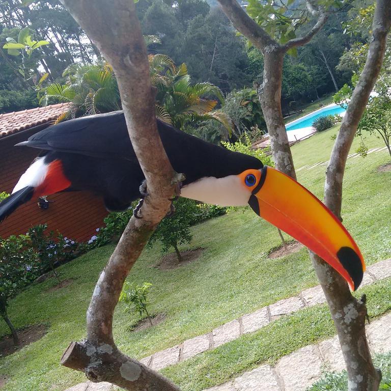 Pousada Tucano Do Cuiaba Itaipava Eksteriør billede